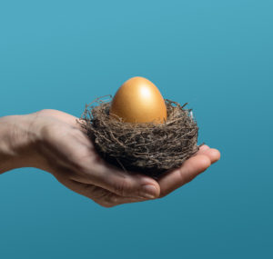 Female hands carefully hold the nest with a golden egg. The concept of saving and increasing savings.